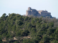 Detall de la Canònica de Sant Vicenç de Cardona des de la zona de Cal Cabreta