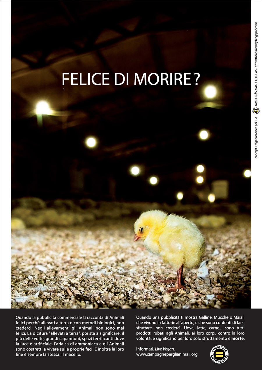 Felice di morire?