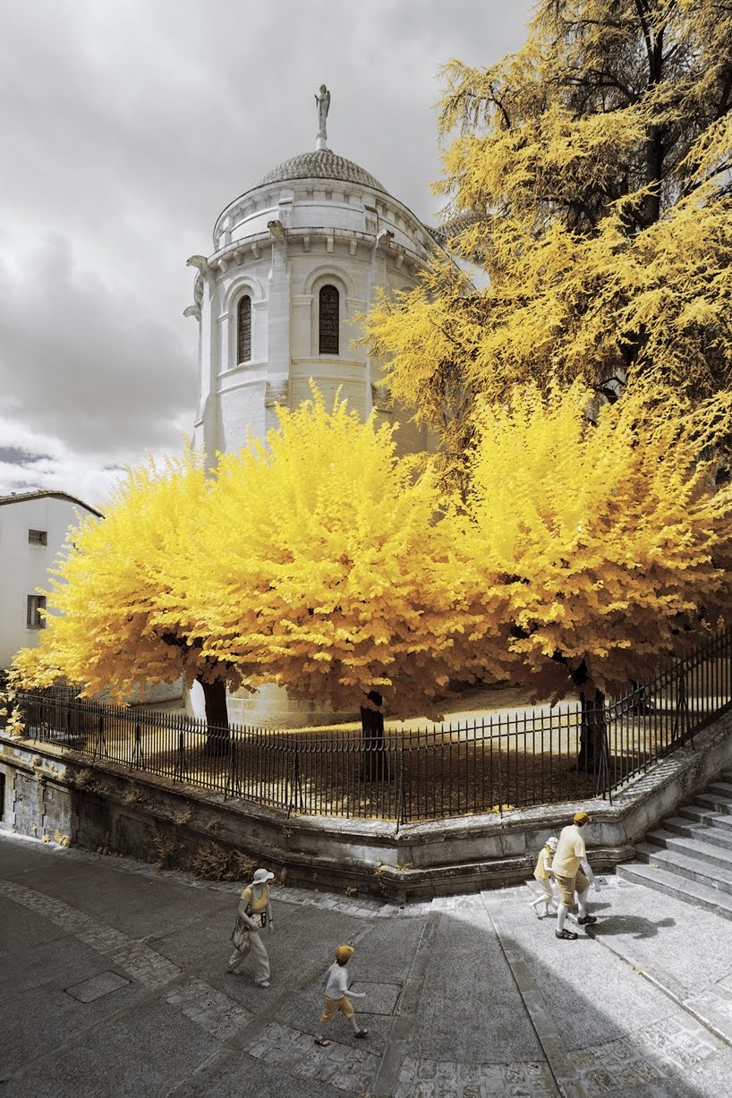 Paisajes franceses de color amarillo infrarrojo