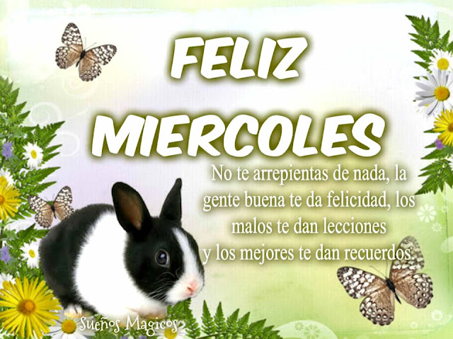 Feliz Miercoles