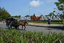 TRAVEL PENUMPANG SURABAYA DEMAK