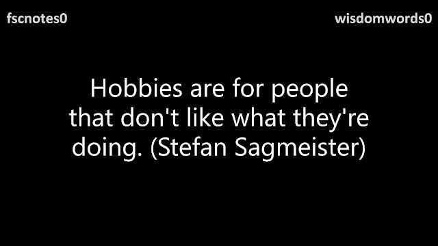 Hobbies are for people that don't like what they're doing. (Stefan Sagmeister)