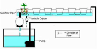 Sistem Hidroponik  NFT EBB Flow pertanian