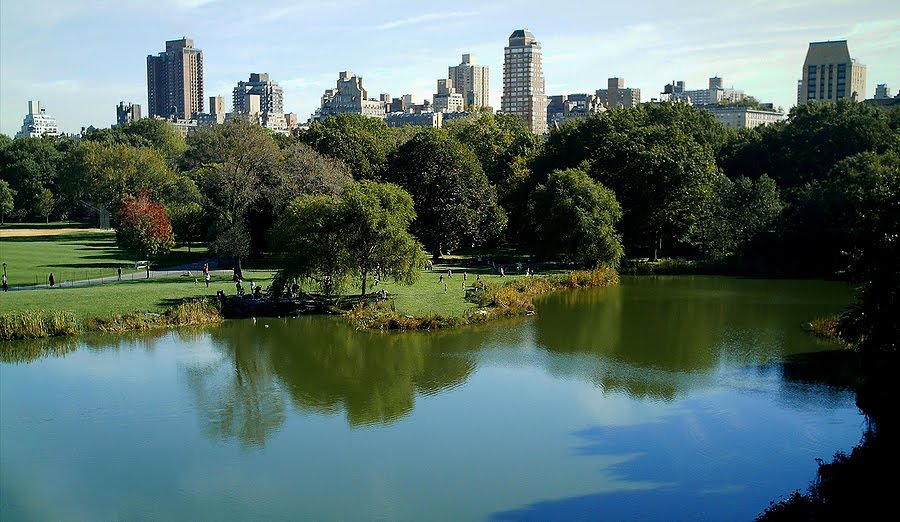 Recently the New York Times printed an fun article called CENTRAL PARK VS