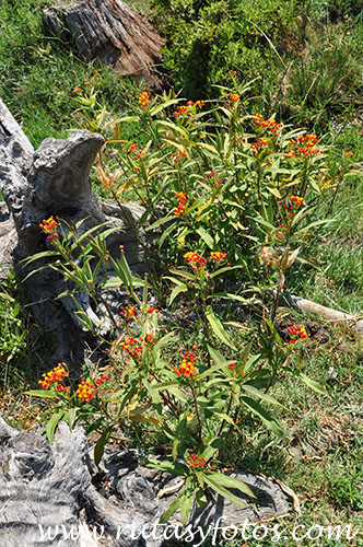 Sendero de la Peña y Punto de Información del Estrecho