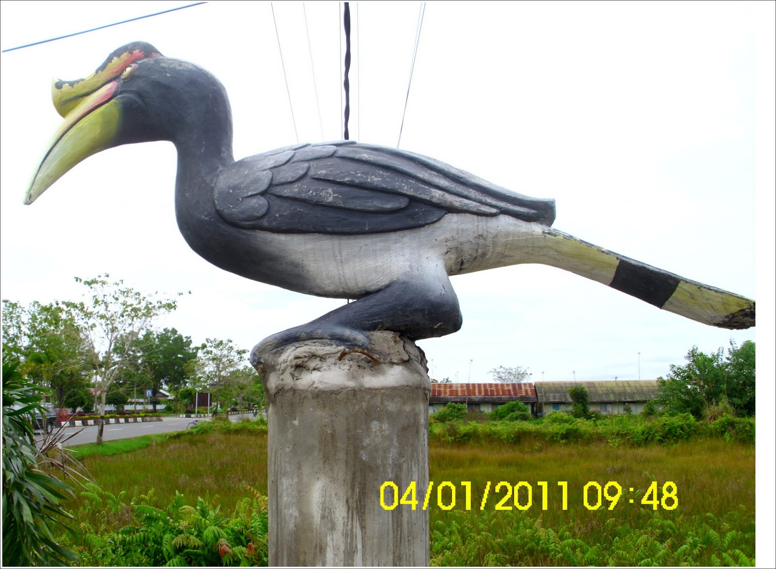 Gambar Burung Enggang