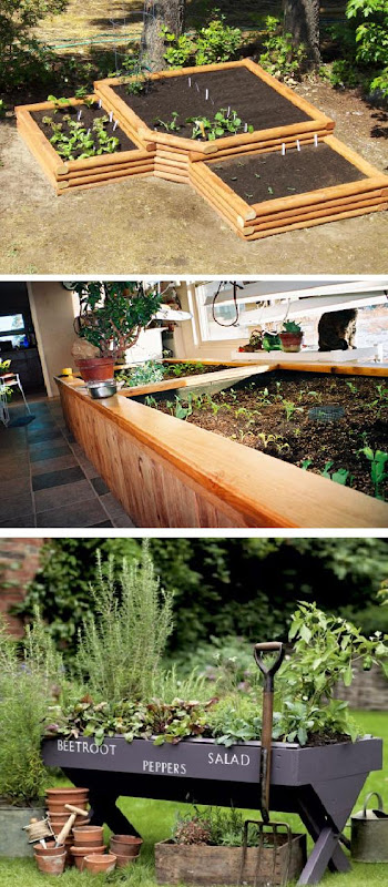 How to Plan Your Vegetable and Herb Garden