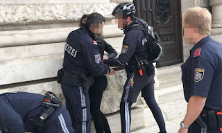Охрана правопорядка в Австрии