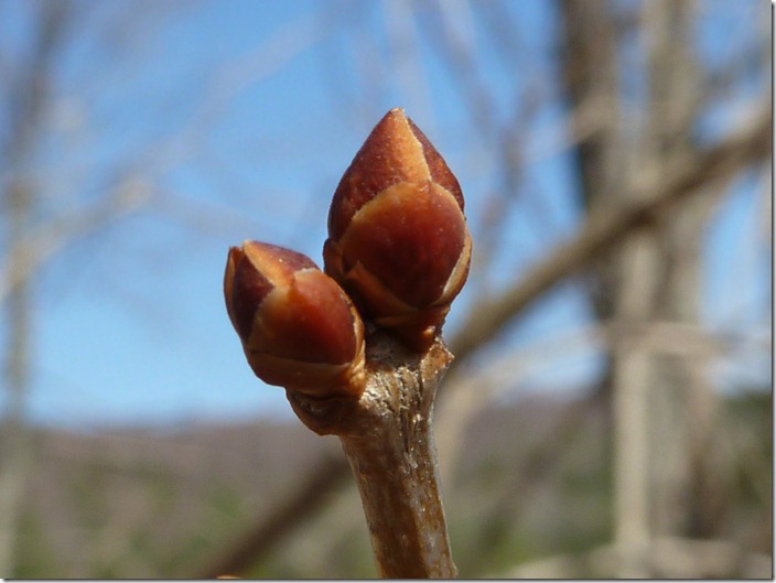 P1050591