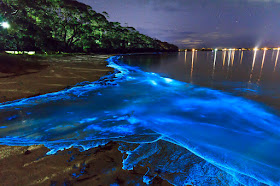 Fenómeno bioluminiscencia - playas Islas Maldivas