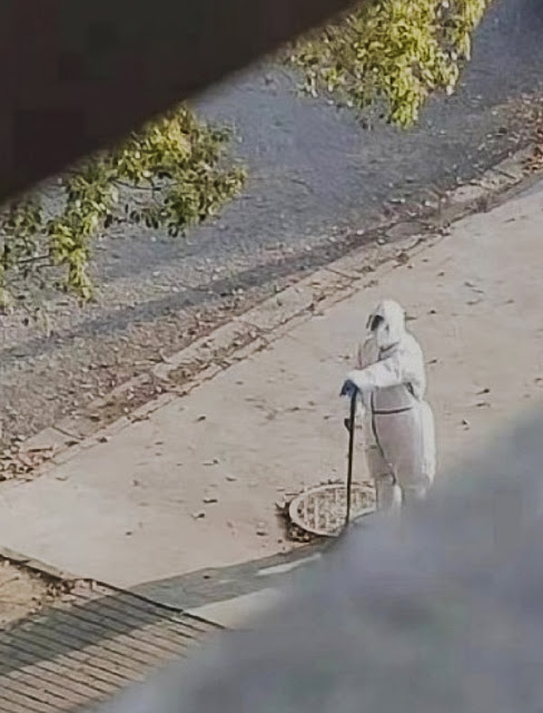 Screenshot from video of man in hazmat suit who killed a corgi with a shovel