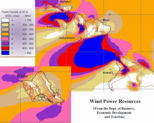 Hawaii Plants Wind