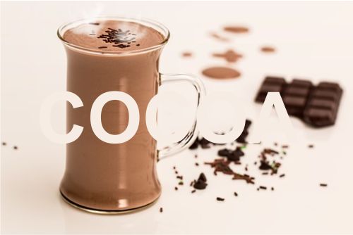 Cocoa Mengandung Flavonoid Yang Baik Bagi Tubuh