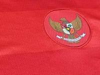 Inilah 28 Pemain Timnas Indonesia Terpilih