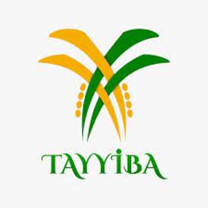 LOKER BOYOLALI di PT TAYYIBA INTI MART