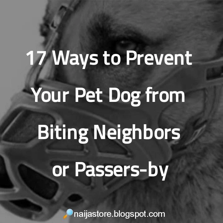 Preventing Dog Bite: 17 Ways to Prevent Your Pet Dog from Biting Neighbors or Passers-by - Dog Tips and Guide