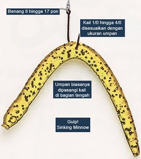 Teknik Memasang Umpan Yang Jitu Trik Memancing