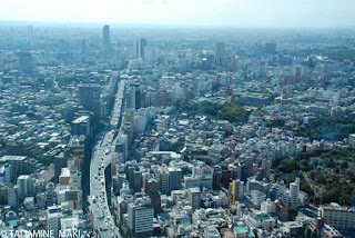 Tokyo from Roppongi Hills Tower