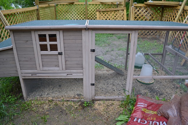 Chicken Coop