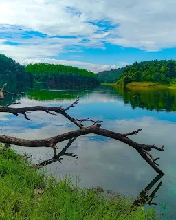 kariyathumpara