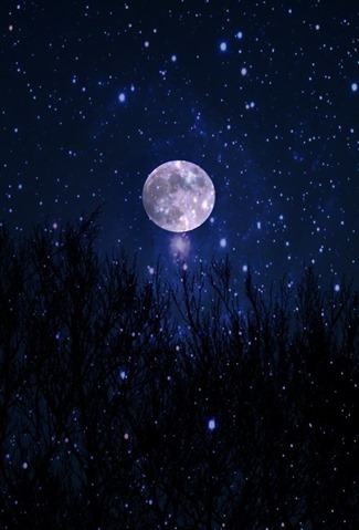Stelle