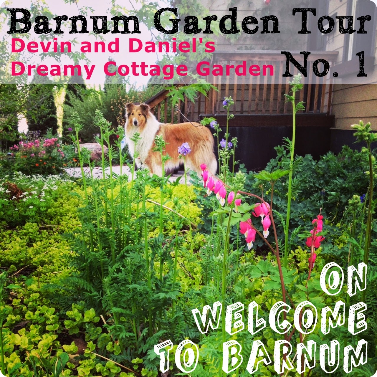 http://welcometobarnum.blogspot.com/2014/06/barnum-garden-tour-devin-and-daniels.html
