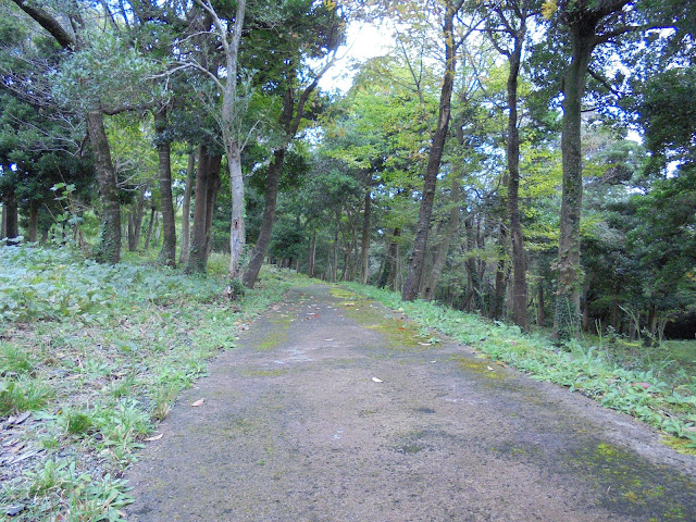 弥生の森の遊歩道