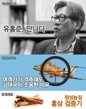 [죽돌이너뷰]<나의 문화유산답사기> 유홍준을 만나다 : 유홍준, 옳다    [국제늬우스]MH17의 비극