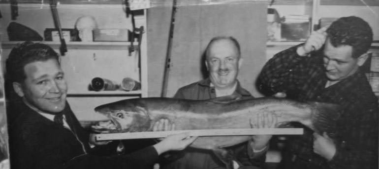 36-pound-steelhead-2015-12-12-10-57.jpg