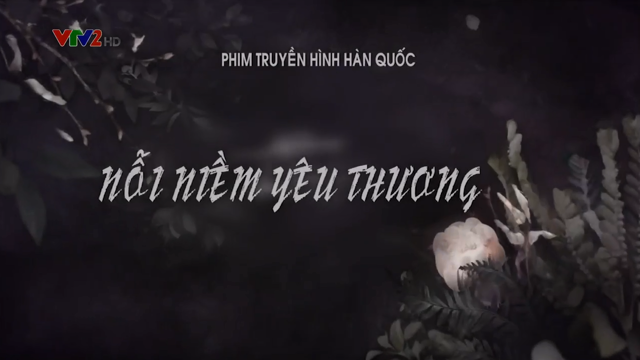 Nỗi Niềm Yêu Thương – Trọn Bộ Tập Cuối – Phim Hàn Quốc VTV2 Thuyết Minh