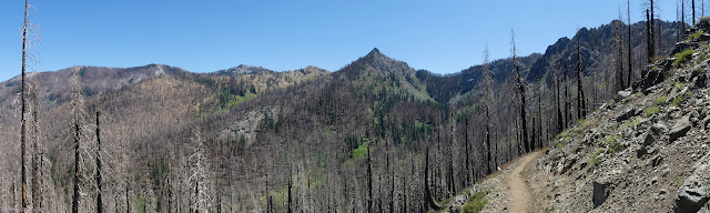 001: peaks and lots of burned trees
