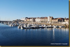121-DSC_1684