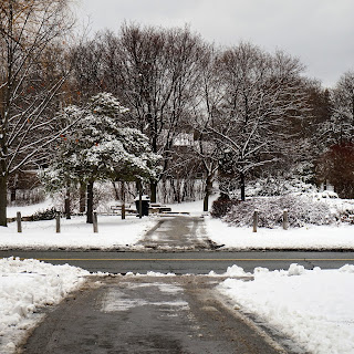 Entrance to Brookbanks park in the winter