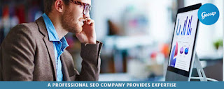 A Professional SEO company provides expertise