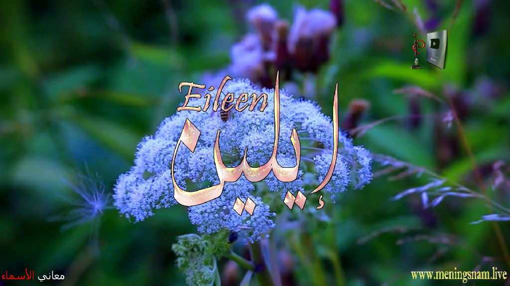 معنى اسم, ايلين, وصفات, حاملة, هذا الاسم, Eileen,