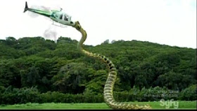 snake attacking chopper