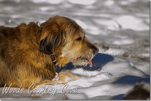 JANUARY 2016 (5 of 25)