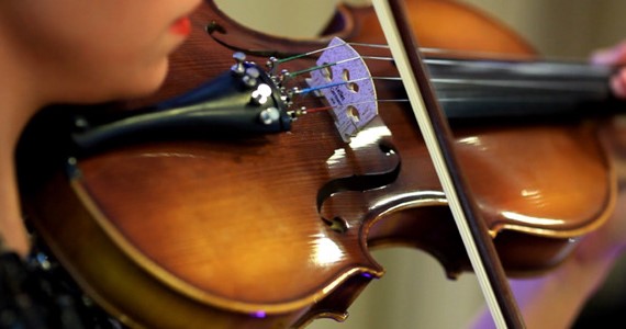 VIOLIN: All you need to know