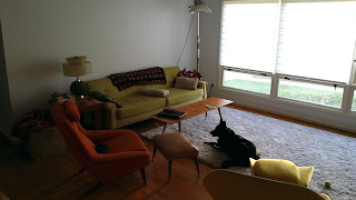 mid century minot living room