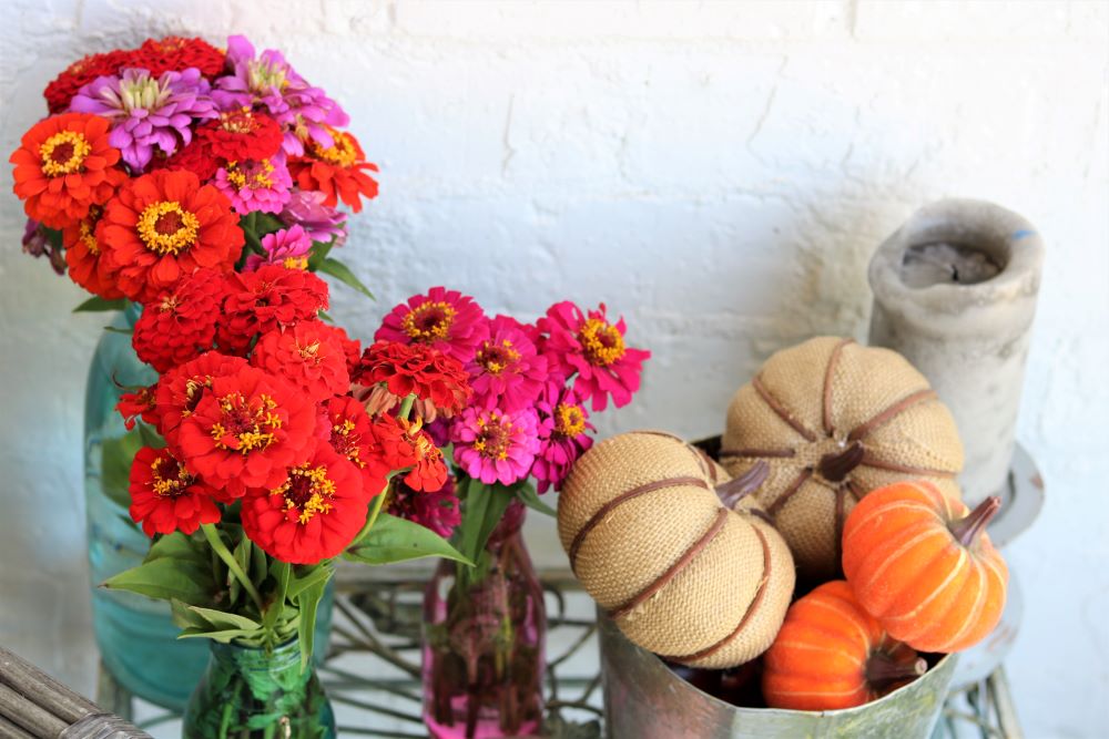 zinnias-bouquets-decorating-fall-porch-décor-athomewithjemma