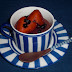 Low Fat Chocolate Berry Dessert : Triple Choc Low Fat Pavlova - Dessert very easy 30 min 25 min.