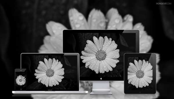 Silent Beauty Wallpaper