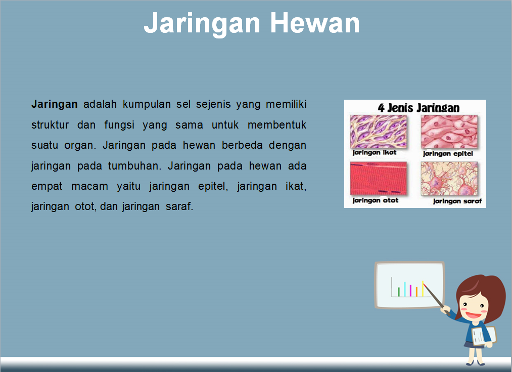  Download  Ppt  Struktur Dan Fungsi Jaringan  Hewan 