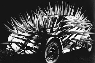 Spiky Beatle!