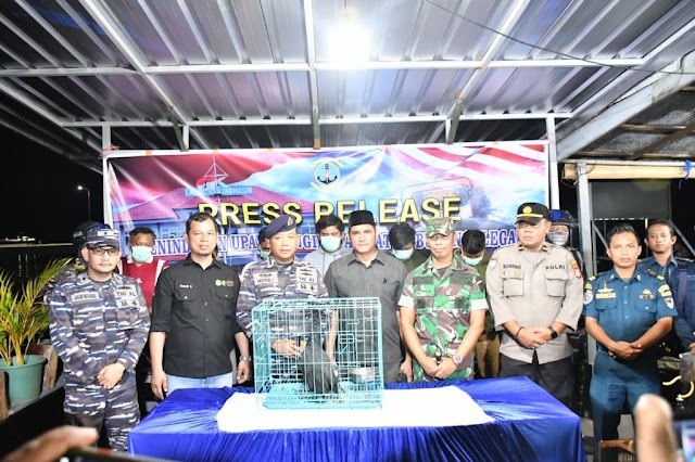  TNI AL Gagalkan Pengiriman Satwa Dilindungi Melalui Jalur Laut 