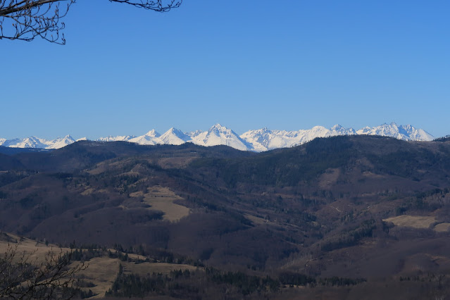Výhľad na zasnežené Vysoké Tatry z Veľkého Radzimu.