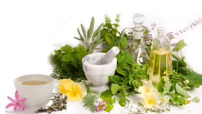 herbal product,herbal treatments,kidney patients