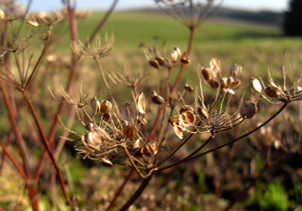 oktober 2010