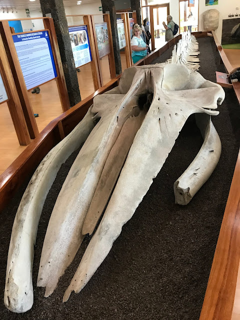 Estación Científica Charles Darwin en Isla Santa Cruz, Islas Galápagos