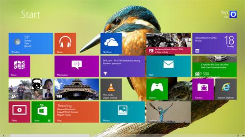 Kingfisher Birds Theme For Windows 8